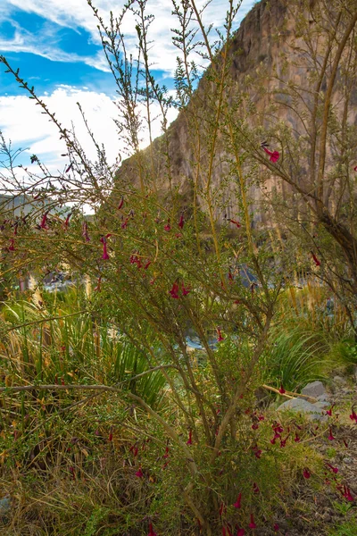 Colca Canyon, Pérou — Photo