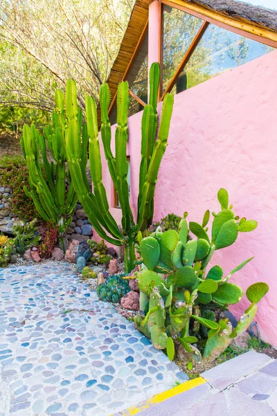 Gehobenes Hotel und einladender Innenhof und Garten in der Colca-Schlucht, Peru in Südamerika — Stockfoto