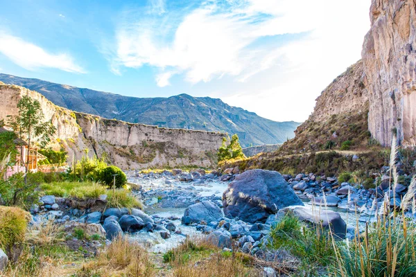 Colca canyon, Περού — Φωτογραφία Αρχείου