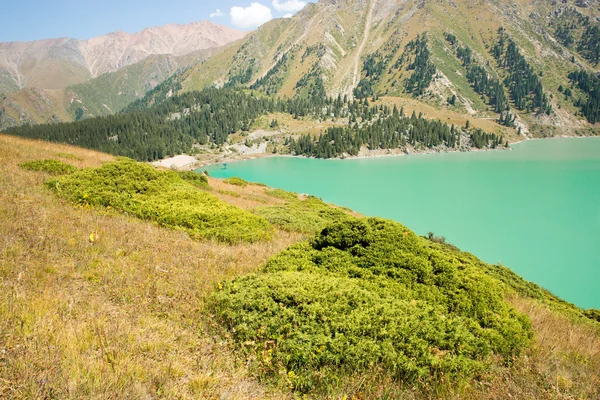 Gran lago Almaty — Foto de Stock