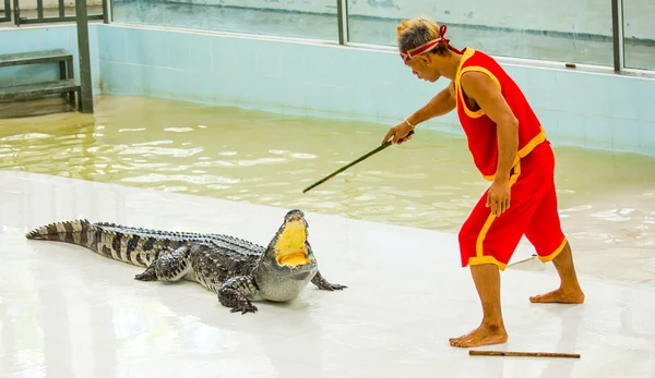 Show of crocodiles, Thailand — Stock Photo, Image