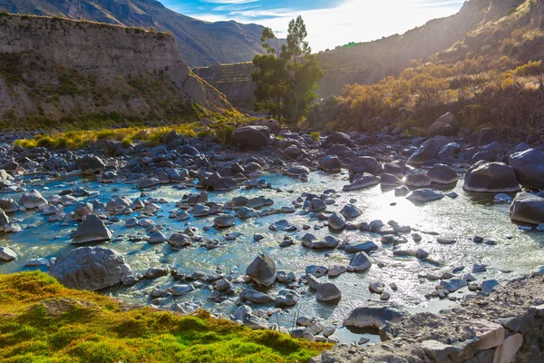 Kanion Colca w peru — Zdjęcie stockowe