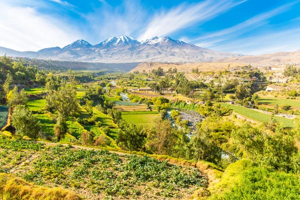 Misty vulkan i Arequipa — Stockfoto