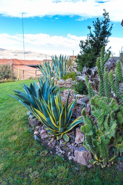 Hôtel haut de gamme et cour accueillante et jardin sur le lac Titikaka, Pérou en Amérique du Sud — Photo