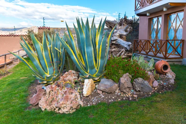 Hotel near Titikaka — Stock Photo, Image