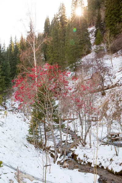 Lyžařské středisko v Kazachstánu — Stock fotografie