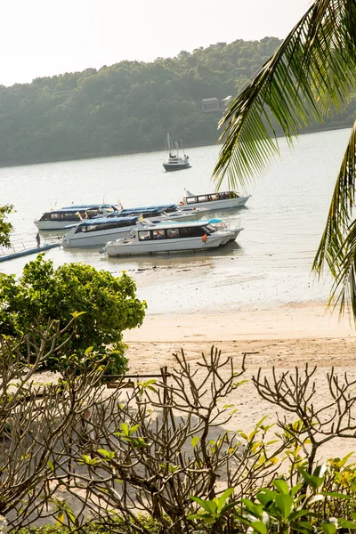 Traditional longtail boat — Stock Photo, Image