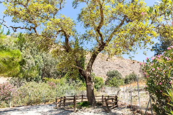 Manastır messara Vadisi