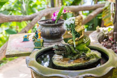 güzel pembe açelya çiçekleri