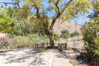 Manastır messara Vadisi