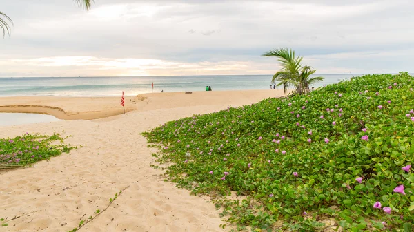 Plage de Karon île de Phuket Thaïlande — Photo