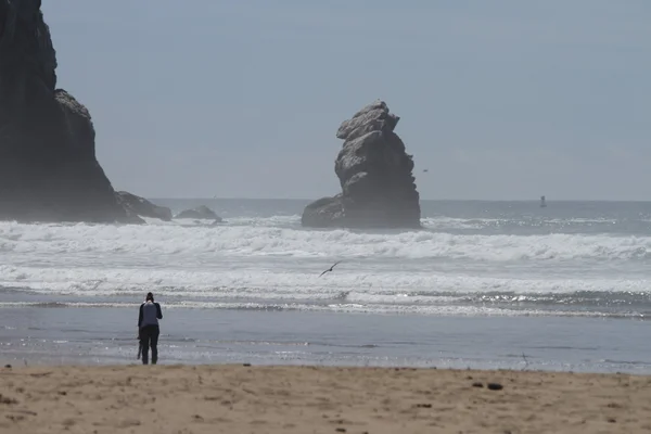 Bahía de Morro california — Foto de Stock