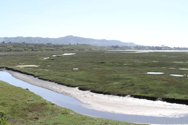 Moerassen op de Morro bay Californië — Stockfoto