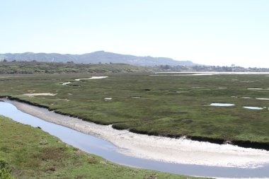 Morro bay Kaliforniya bataklıklar