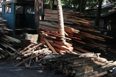 Chatham değirmen gördüm; andamans