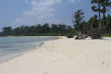 Andamans, plajlar