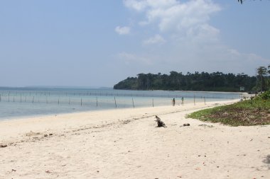 Andamans, plajlar