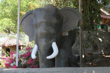 Chatham değirmen gördüm; andamans