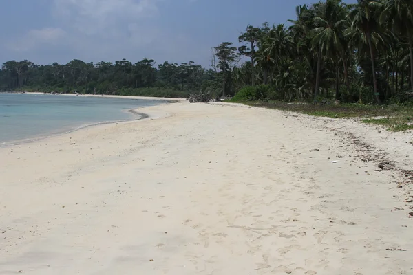 Andamans 해변 — 스톡 사진