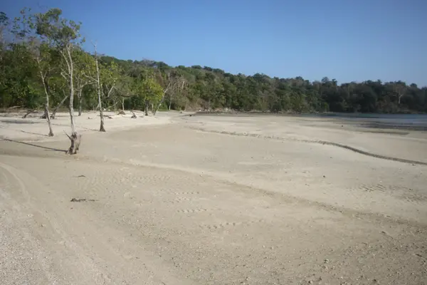 Andamans, plajlar — Stok fotoğraf