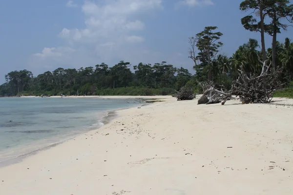 Beaches at the Andamans — Stock Photo, Image