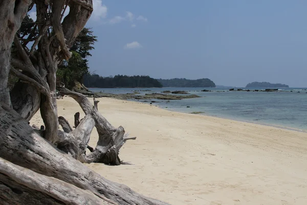 Пляжи Андаманских островов — стоковое фото