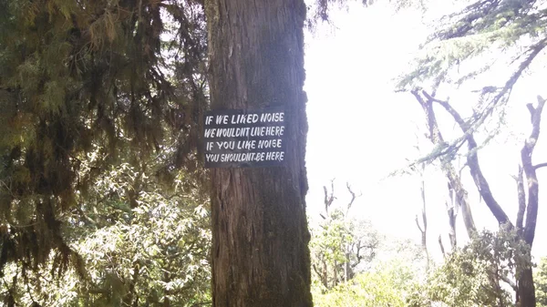 Надпись на дереве в Муссури, Индия — стоковое фото
