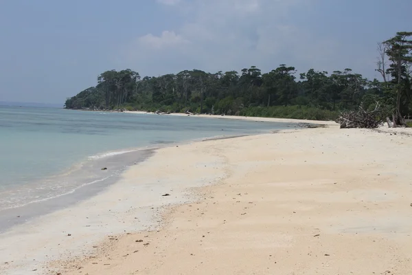 Andamans 해변 — 스톡 사진