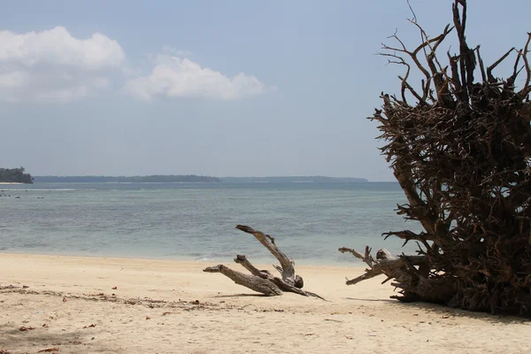 Praias nos Andamans — Fotografia de Stock