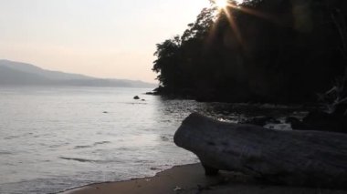 Deniz kenarında Andamans Hindistan