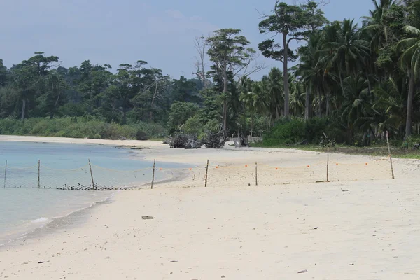 Pantai di Andamans — Stok Foto