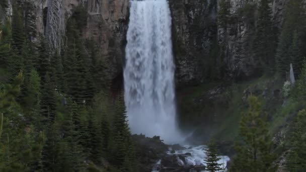 Cascadas en Oregon — Vídeos de Stock