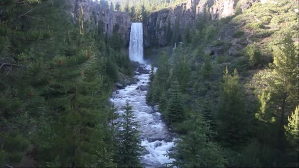 Waterfalls in Oregon — Stock Video