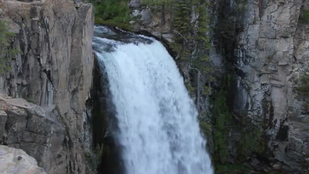 Watervallen in Oregon — Stockvideo