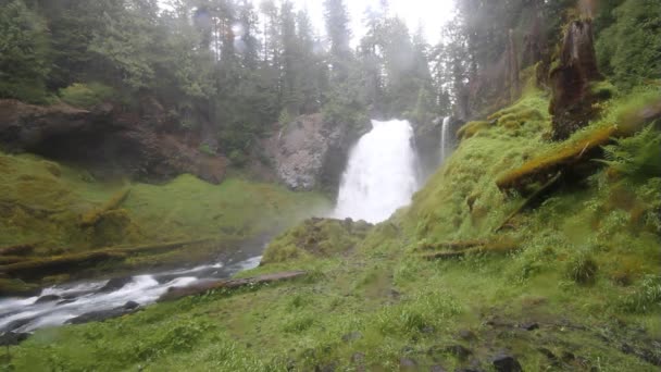 Vattenfall i Oregon — Stockvideo