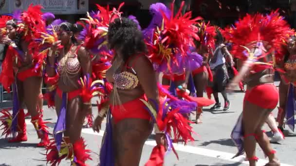 Carnaval de São Francisco — Vídeo de Stock