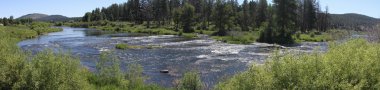 Deschutes vahşi, bend, oregon