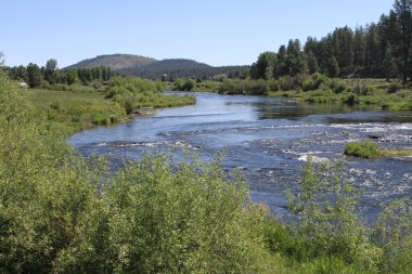 Deschutes vahşi, bend, oregon