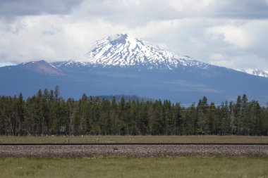 Deschutes vahşi, bend, oregon