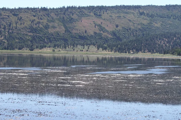 Verwüstet die Wildnis, beugt sich, oregon — Stockfoto