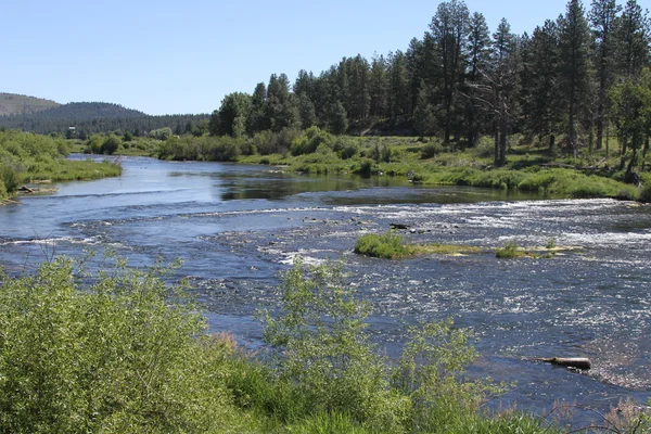 Verwüstet die Wildnis, beugt sich, oregon — Stockfoto