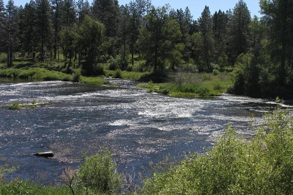 Deschutes ερημιά, κάμψη, Όρεγκον — Φωτογραφία Αρχείου