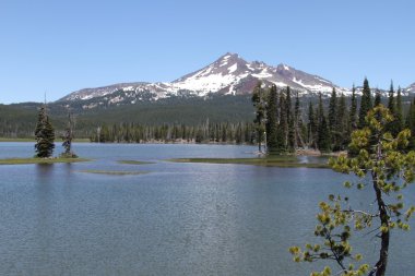 Deschutes vahşi, bend, oregon