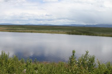 Balıkçı klamath doğum