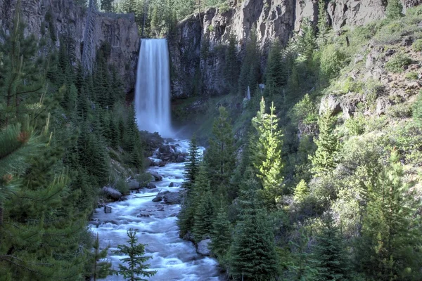 Deschutes Desierto, curva, orégano — Foto de Stock