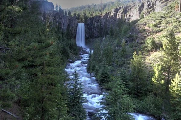 Deschutes Desierto, curva, orégano — Foto de Stock