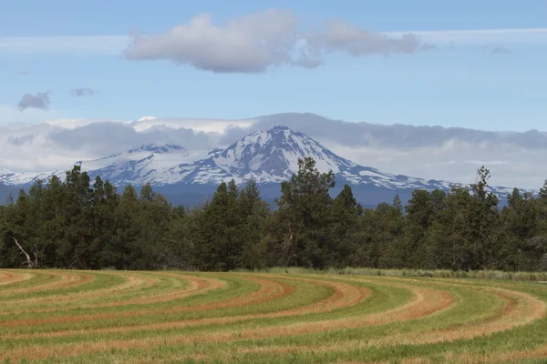 Deschutes Selvagem, curva, oregon — Fotografia de Stock