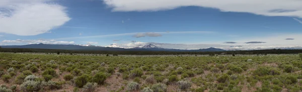 Deschutes vahşi, bend, oregon — Stok fotoğraf