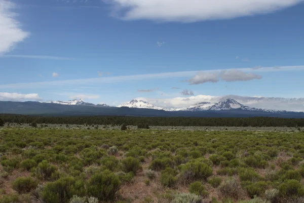 Verwüstet die Wildnis, beugt sich, oregon — Stockfoto