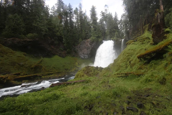 Deschutes Selvagem, curva, oregon — Fotografia de Stock